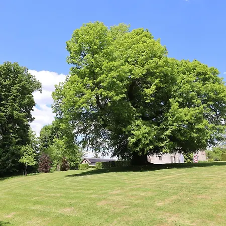 Les Du Château De Bellaire Gesves